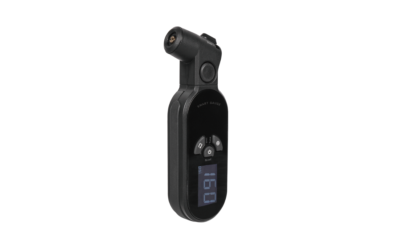 TOPEAK Smartgauge D2X